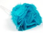 feather_duster_spring_clean